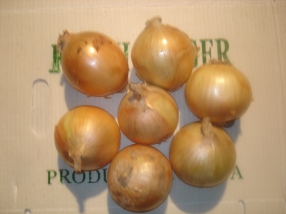 Fresh Onion