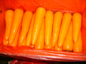 Fresh Carrot