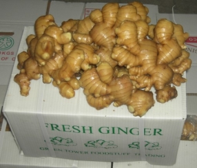Fresh Ginger