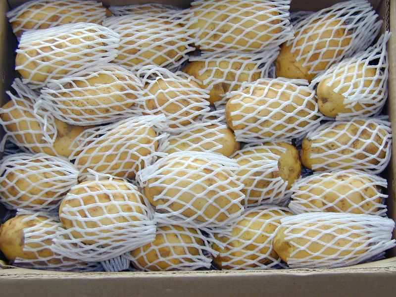 Fresh Potato