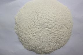 AD Garlic Powder 100-120Mesh